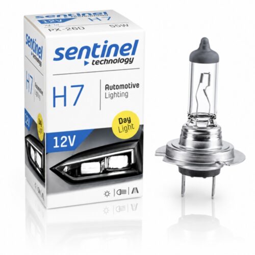 H7-H1-H3-H11 AMPÜL HALOJEN NORMAL CAM 55W